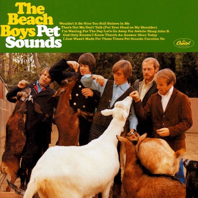 The beach boys pet - the,