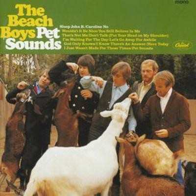 The beach boys pet - pet, sounds